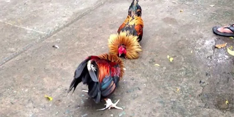 Khuyến mãi nạp tiền định kỳ